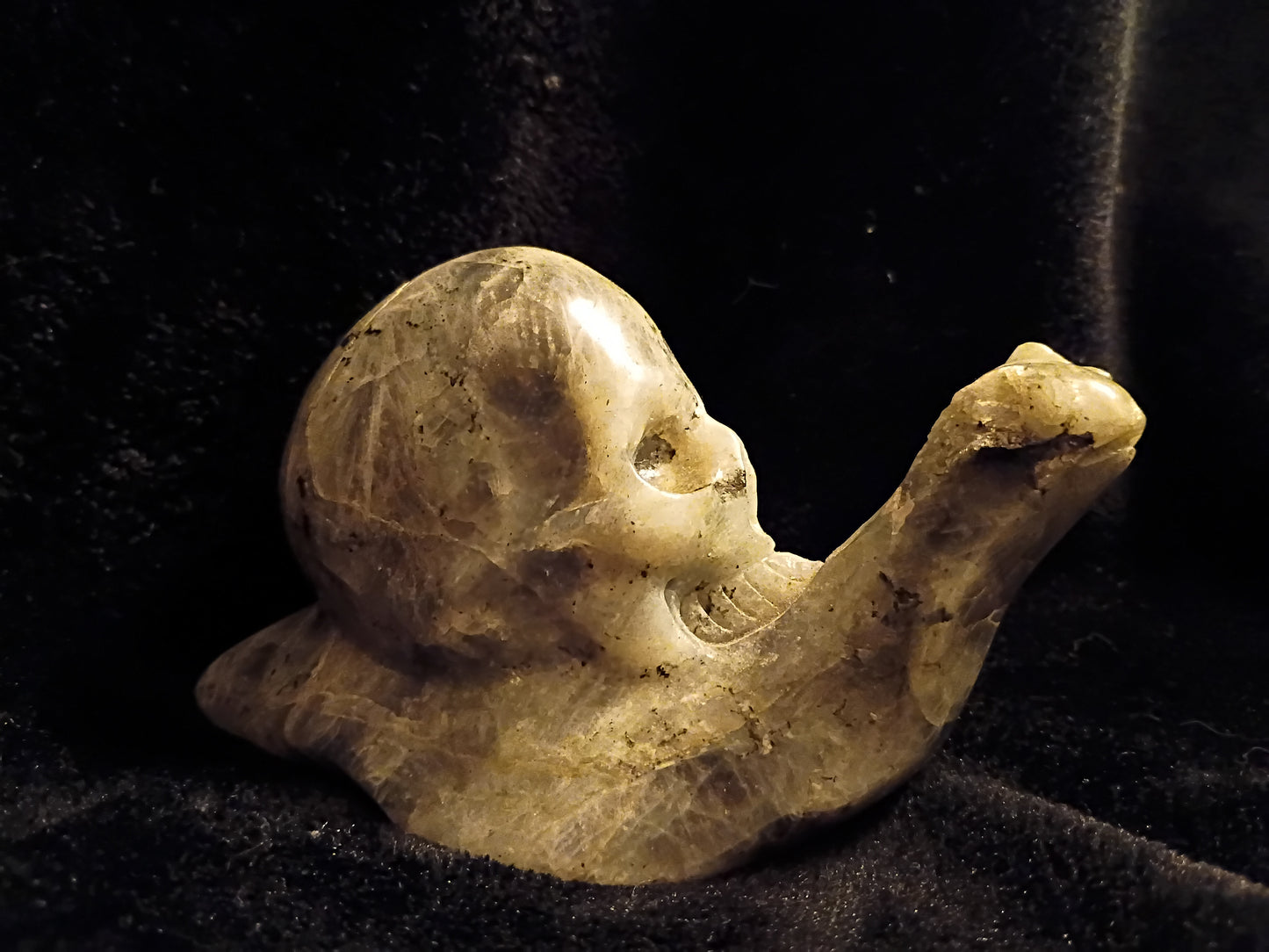 Crystals: Labradorite Snail Skull