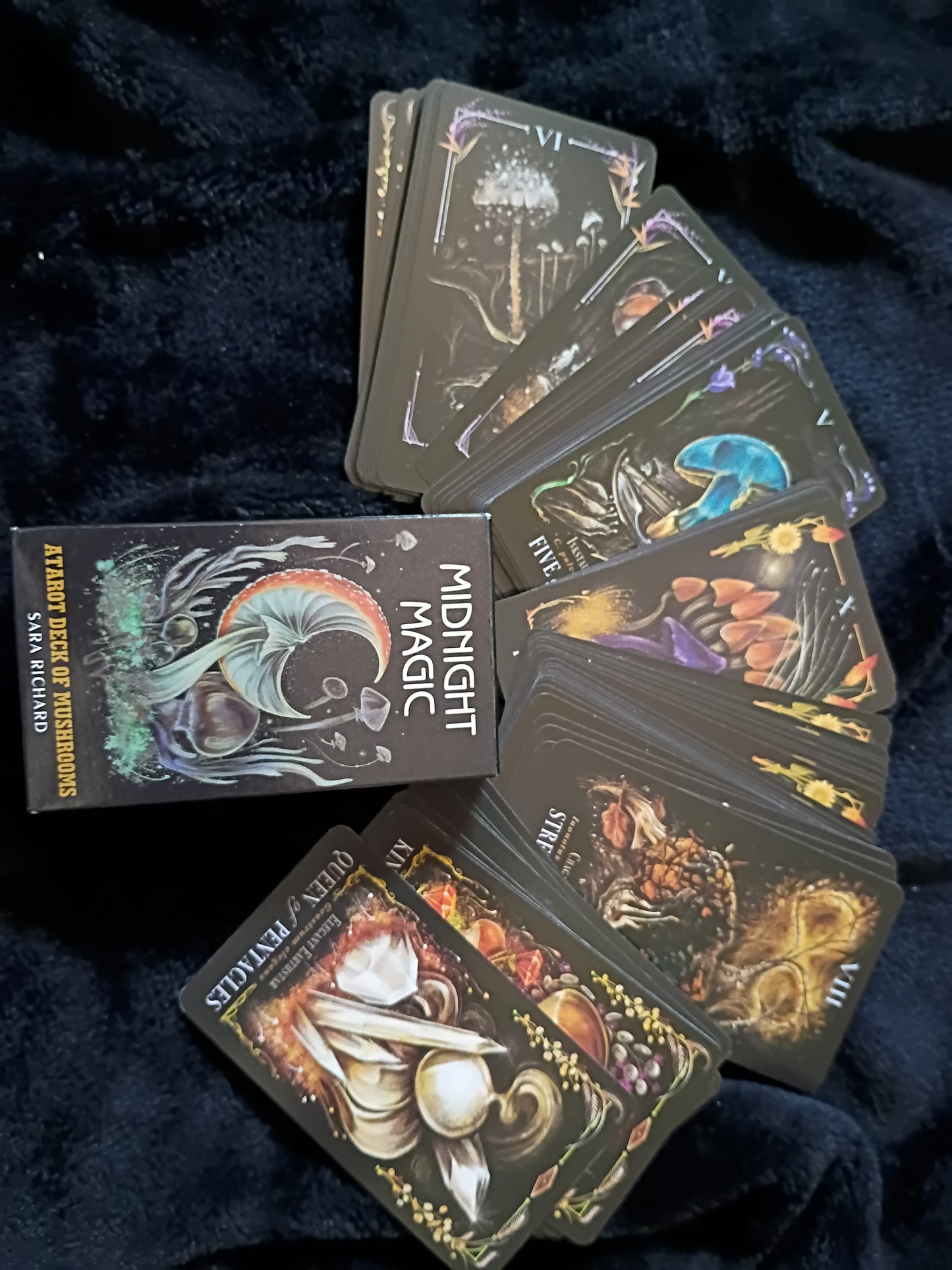 Divination: Midnight Magic Tarot Deck